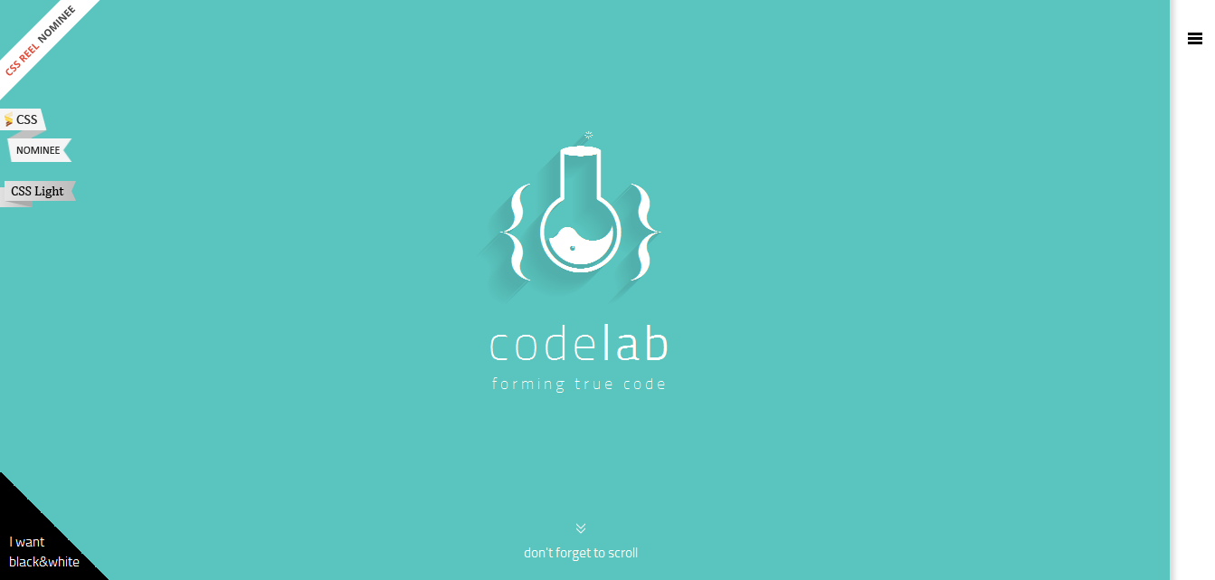 code lab-网站设计案例